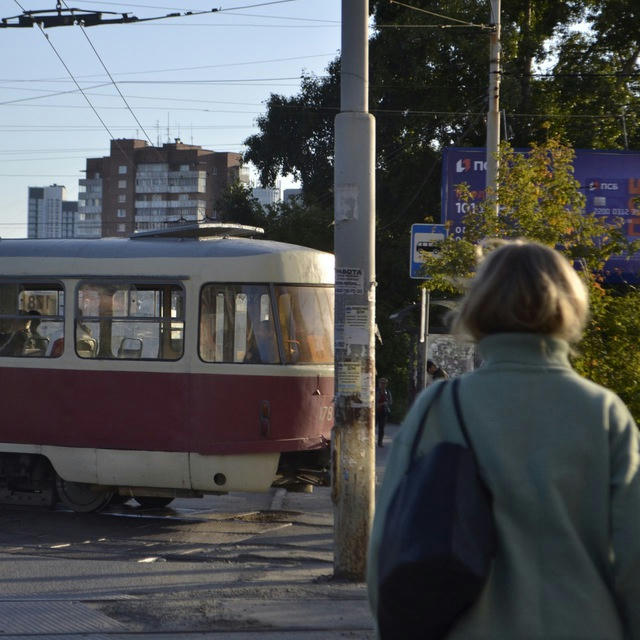 фертова в.