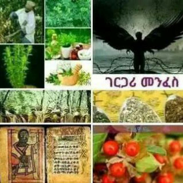 መርጌታ የባህል መዳኒት ቀማሚ