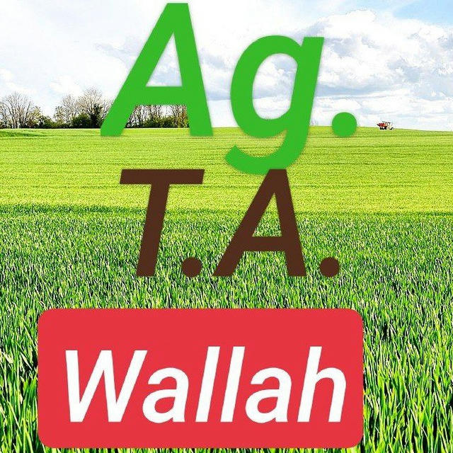 Agta Agriculture Wallah