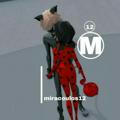 میراکلس 12 | miracoulos12