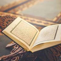 ورتل القرآن ترتيلا🍃