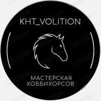 Workshop Hobbyhorses KHT_Volition