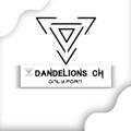 DANDELIONS CH (ke band)
