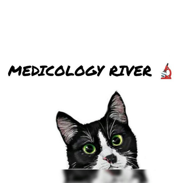 MEDICOLOGY RIVER
