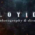 Loyid photography & dicor