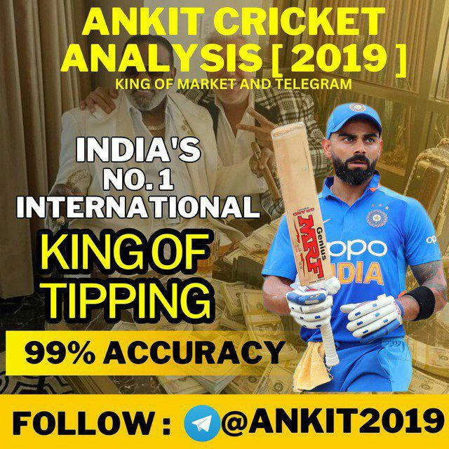 Ankit Cricket Analysis {2019}