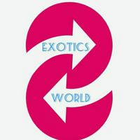 Exoticsworld