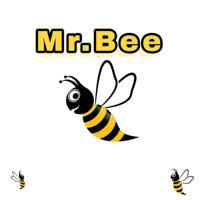 Mr.Bee