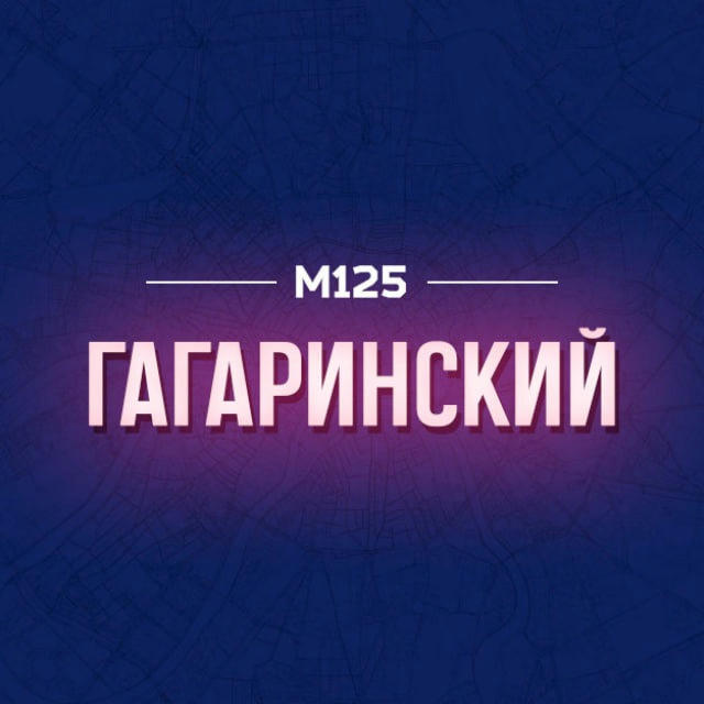 Гагаринский район Москвы М125