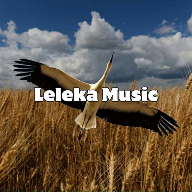 Leleka Music 🇺🇦 | Українська музика 🕊 | Українські пісні 🌻