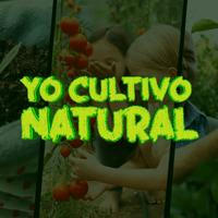Aprende Cultivo Natural 👩‍🌾❤️👨‍🌾🍇🍉🥑🍌 Invernaderos, Permacultura, Agricultura y Ganadería 💛