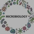 Microbiology 48