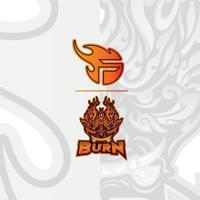 BURN X FLASH