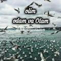 Olim_odam_Olam