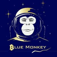 Blue Monkey™ Signals