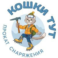 Прокат “Кошки тут” Эльбрус