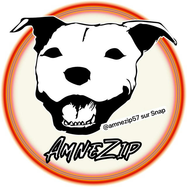 AMNEZIP 57