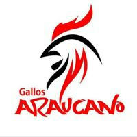 Gallos ARAUCANO