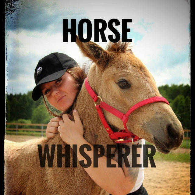 Horse ♾️ Whisperer