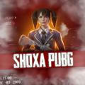 SHOXA_PUBG