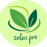 Zelen.Pro - гранты, субсидии, бизнес