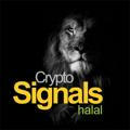 Crpyto signals ( Halal )