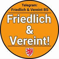 Friedlich & Vereint BS - Info