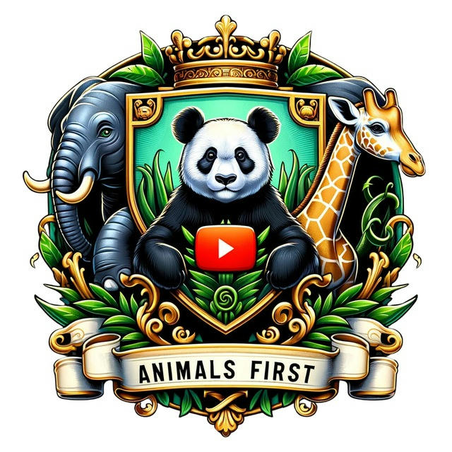 Animals First 🐒🦒🦆