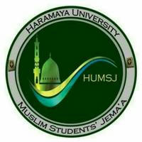 Academic sector of HUMSJ