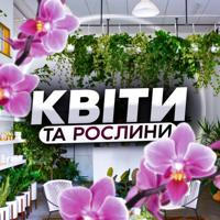 Квіти та рослини