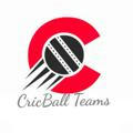 Cricball Teams