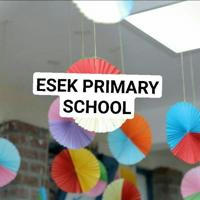 ESEK KG AND PRIMARY SCHOOL OFFICIAL CHANNEL