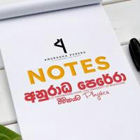 25 Revision NOTES | AP