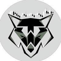 Wolf Trade NEWS 📰