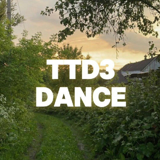 ТТД3 танцы||идеи Роблокса🫠