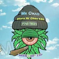 🌳🫁 Store Mr Chao 🫁🌳
