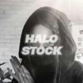 Halo Stock