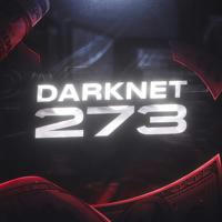 DarkNet273