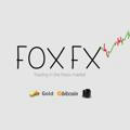 FOX FX