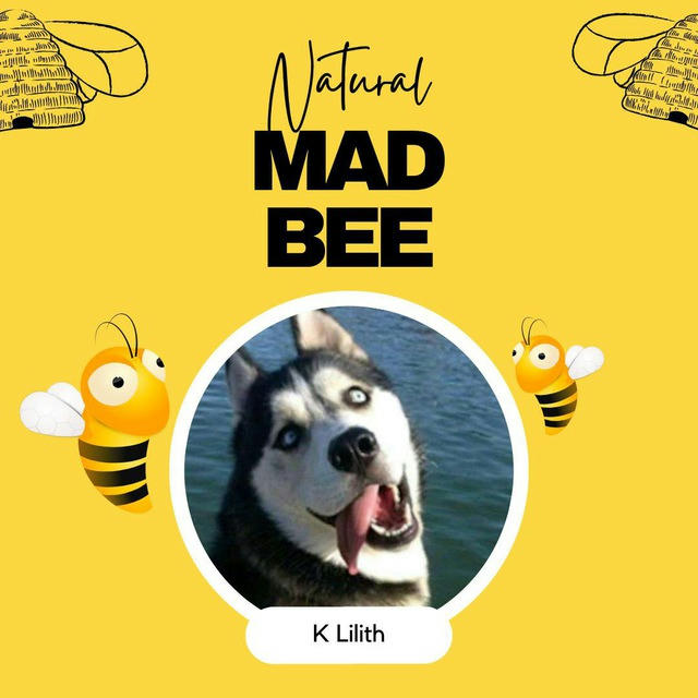 🐝 Mad bee 🍯