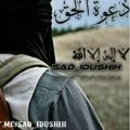 Sad idushih