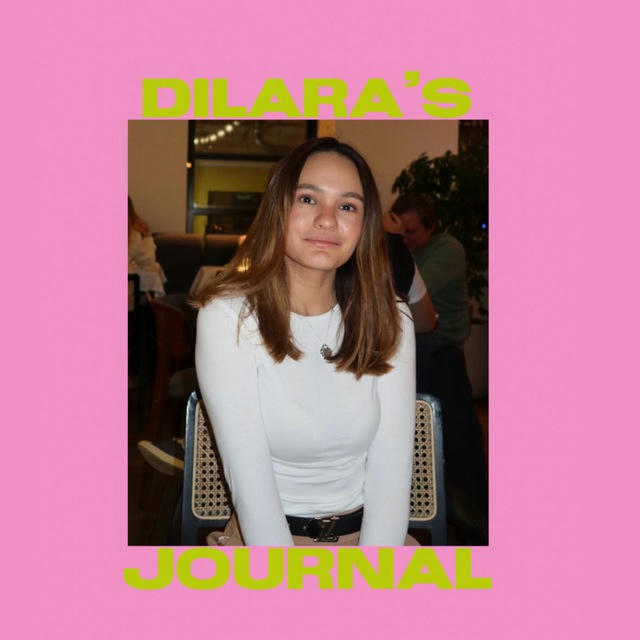 Dilara’s journal 🖇️