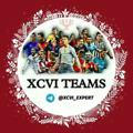 XCVI TEAMS™