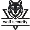 Wolf cyber security team