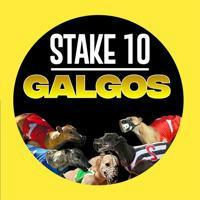STAKE 10 GALGOS