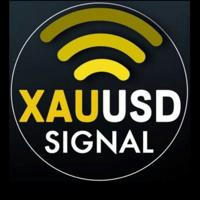 XAU/USD SIGNAL TRADING 🛎💯💯