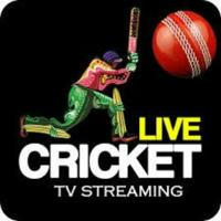 Live Cricket Links + News Free