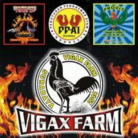 Vigax Farm Surabaya