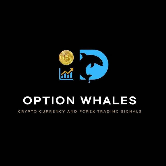 OPTION WHALES 🐋 CRYPTOCURRENCY & FOREX TRADING SIGNALS 📈 🌍