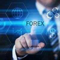 Large Wealth Forex Traders